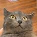 Daisy Bode - Facebook