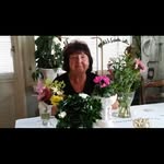 Daisy Boden - @bodendaisy - Instagram