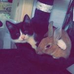 Daisy & Ingvar Bond - @daisy.ingvar - Instagram