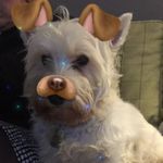 Daisy._.Duke - @daisy._.duke._.bond - Instagram