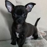 Daisy.bond - @daisy.bond_ - Instagram