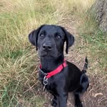 Alison Chesworth - @daisybones2024 - Instagram