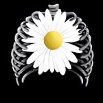 Daisy & Bones - @daisyandbones - Instagram