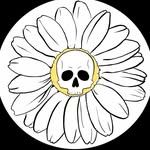 Daisy Bones - @daisybonesgardenco - Instagram