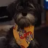 Daisy - @daisy.bones - TikTok