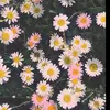🌼Daisy🌼 - @daisy_bones - TikTok