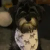 Daisy - @daisybones - TikTok