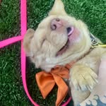Mama Mama - @daisy_bones_ - Instagram