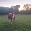 Daisy - @daisy_bookerx - TikTok