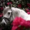 Daisy.Booker - @daisybookerjxhovze - TikTok