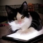 Daisy Bogea Borba - @daisy.bobogea - Instagram