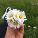 Daisy Boswell - @daisy.spammm._ - Instagram