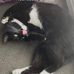 Daisy-Mae Boswell - Facebook