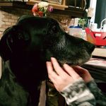 Daisy7 - @daisy_bouchard - Instagram