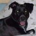 Daisy Buchanan Boucher - Facebook