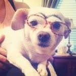 Daisy Bowen - @thelazydaisy4 - Instagram