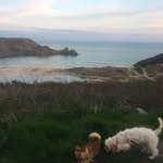 Daisy - @daisy.bowen__ - Instagram