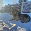Daisy Bower - @daisy.bower - TikTok