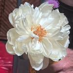 DaisyBowers - @daisybowers321 - Instagram