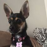 Daisy Mae Bowling - @imdaisymae - Instagram