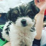Daisy Bowman - @daisybowman2020 - Instagram