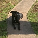 Daisy Bowman - @daisybowman1982 - Instagram