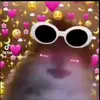 Zodiac signs 🦋 - @daisy_bowman - TikTok