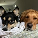 brady + daisy - @brady_and_daisyhopper - Instagram