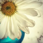 Daisy Bragg - @artsyattitude - Instagram