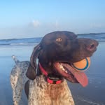 Daisy branch - @crazydaisy504 - Instagram