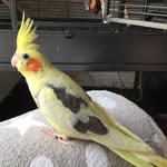 Daisy Breton - @daisy_breton - Instagram