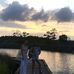 Daisy Brewster - Facebook