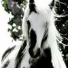 daisy brink  - @daisybrink4444 - TikTok