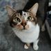 Daisy Briscoe - Facebook