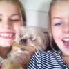 daisy - @daisybriscoee - TikTok