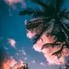 daisybrock1212 - @daisywqzhyk - TikTok