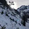 dbrock - @daisy._brock - TikTok