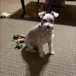 Daisy Brooks - Facebook