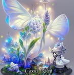 Daisy Brooks - Facebook
