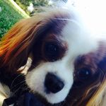 Daisy Browne - @daisy.doodle.browne - Instagram