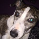Daisy Minnie Browning - @daisy_browning - Instagram