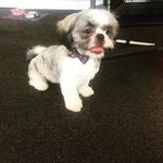 Daisy Bruce - @daisybruce81 - Instagram