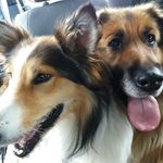 daisy&bruce - @bruce_and_daisy - Instagram