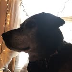 Daisy Bruno - @daisyandbruno1234 - Instagram