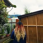 Mala 5777 - @daisy_bruno_57 - Instagram