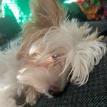 Daisy Bryant - @daisy_sunshinebryant - Instagram