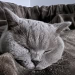 Daisy Buchanan - @daisybsh - Instagram