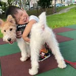 Sandy - @__daisybuchanan__ - Instagram