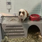 Daisy Bucio - Facebook