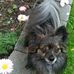 Daisy Buckingham - Facebook